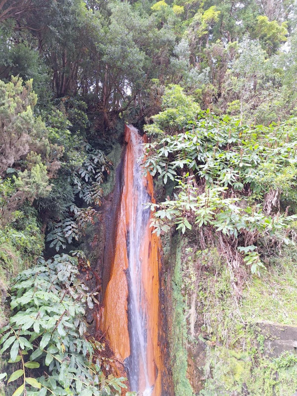 Ferienwohnung A Caminho Da Ilha Ponta Delgada Exterior foto